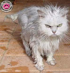 alala la douche